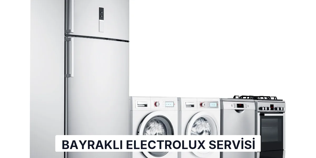 Bayraklı Electrolux Servisi
